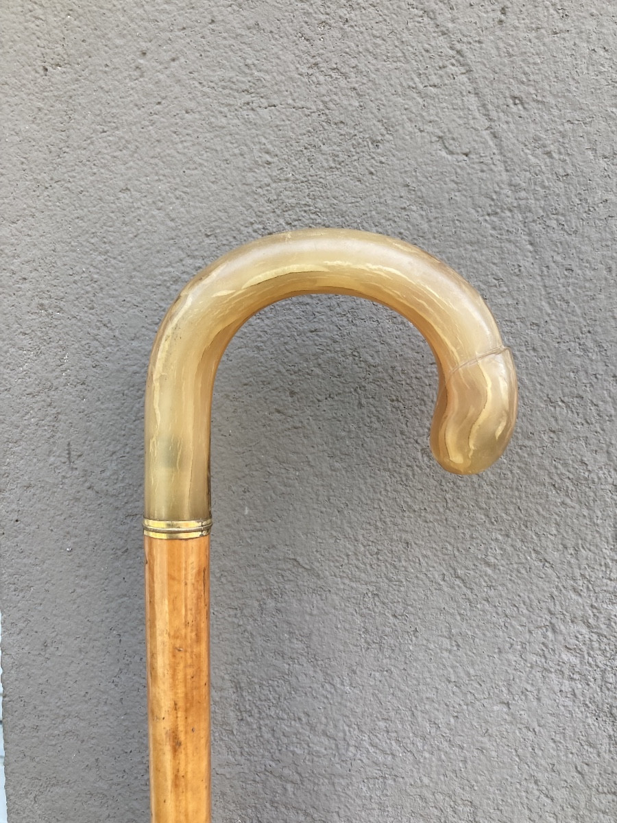 Curiosa 20th Century Sheep Horn Cane 