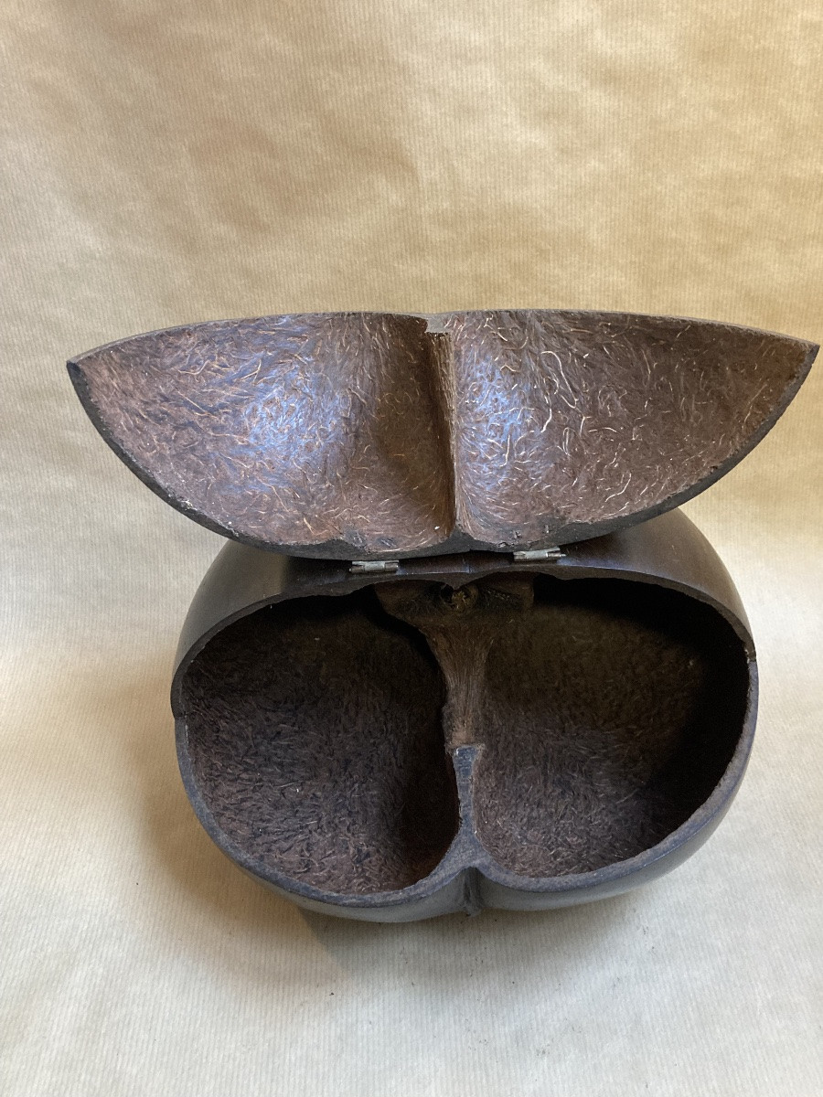 Boîte Coco fesse-photo-2