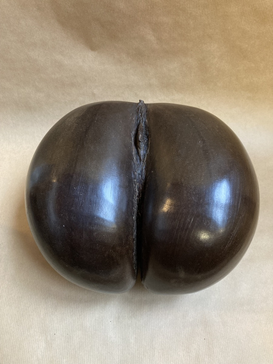 Boîte Coco fesse-photo-3