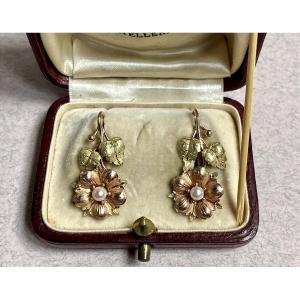 Gold And Cultured Pearl Earrings 