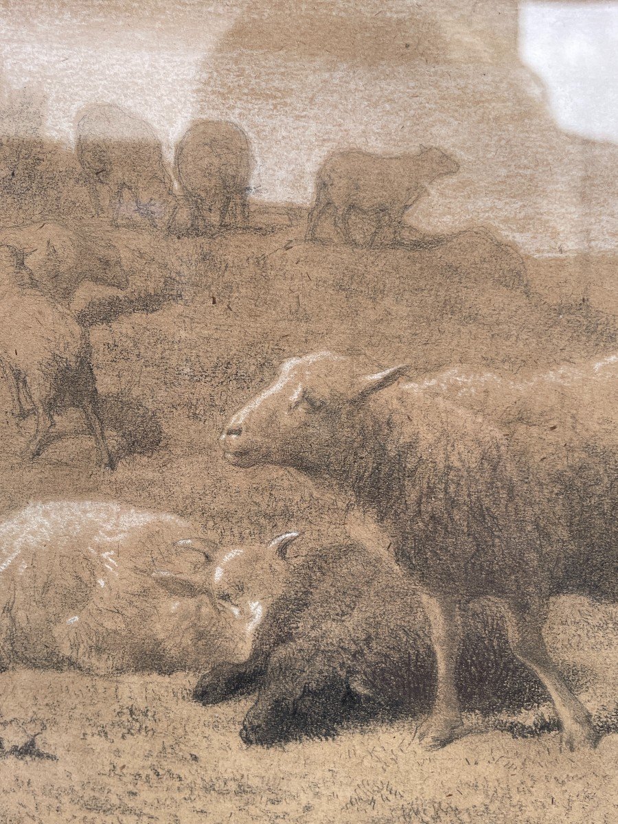 Pencil By Auguste François Bonheur - The Sheep -photo-4