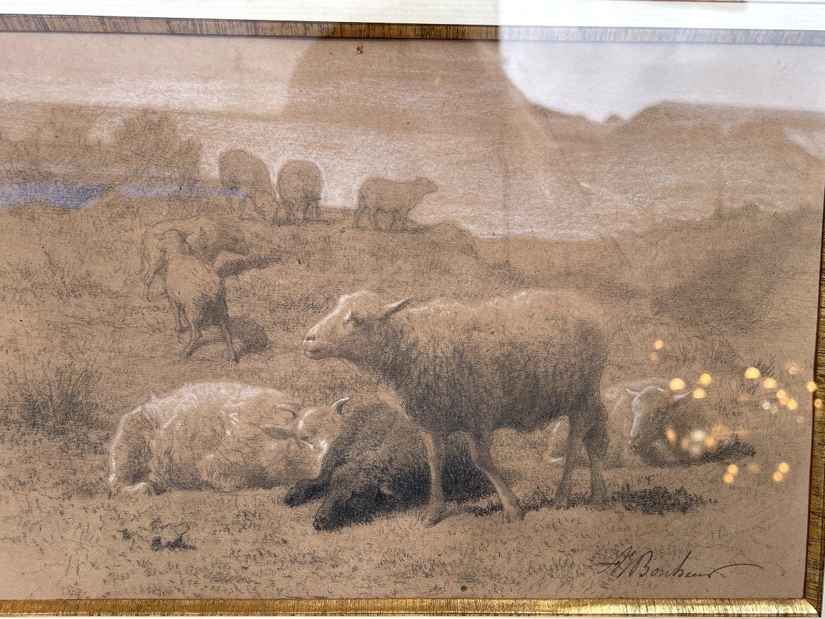 Pencil By Auguste François Bonheur - The Sheep -photo-1