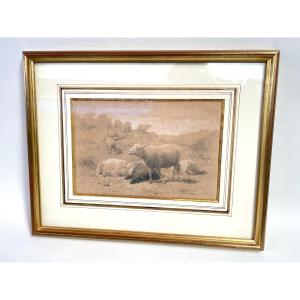 Crayon De Auguste François Bonheur - Les Moutons 