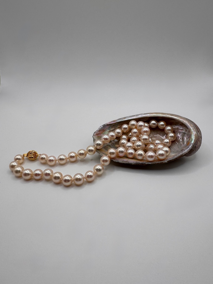 Collier perles de culture akoya, fermoir or jaune 18 carats, XXème siècle
