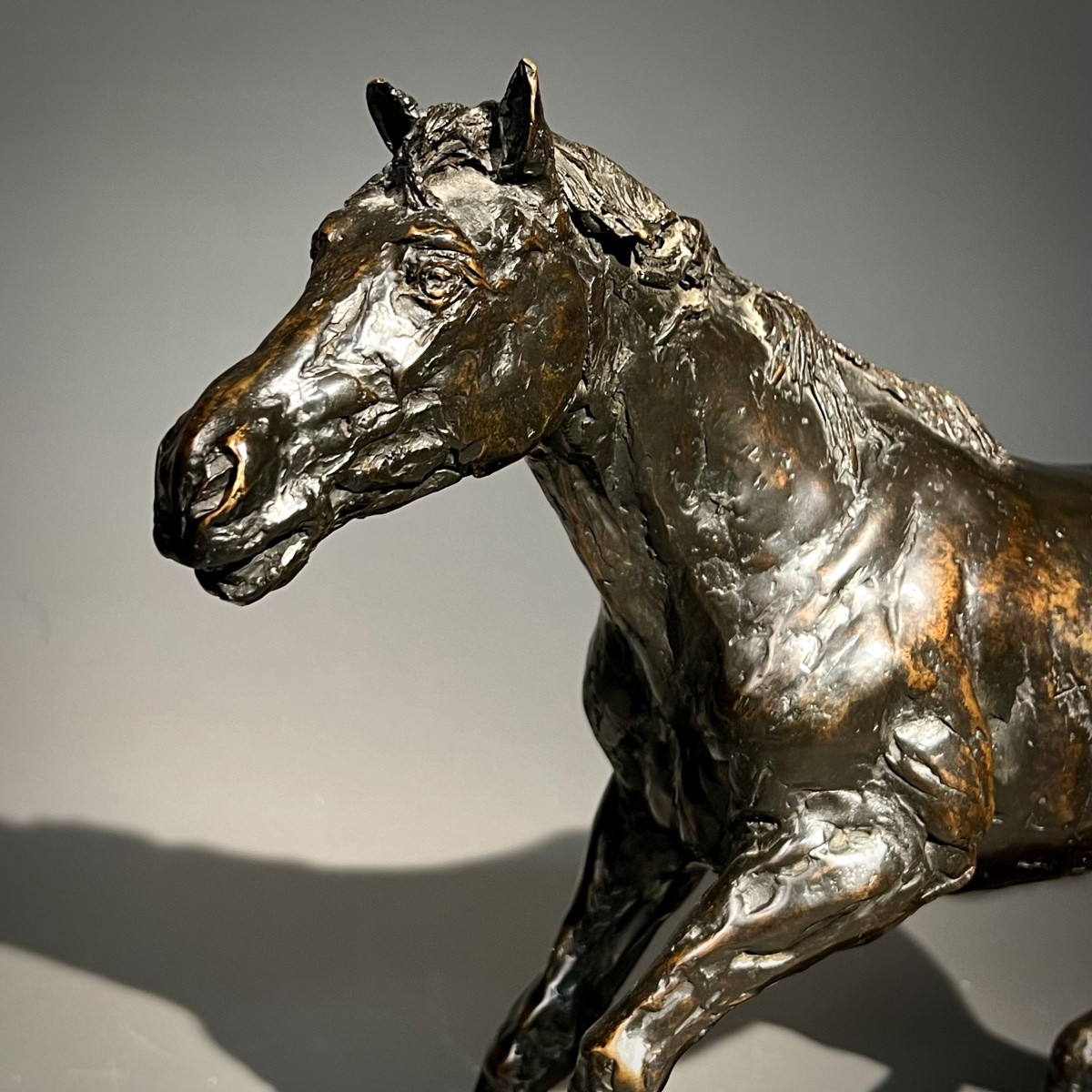 Bronze Horse Signed Joel Blanc -photo-2