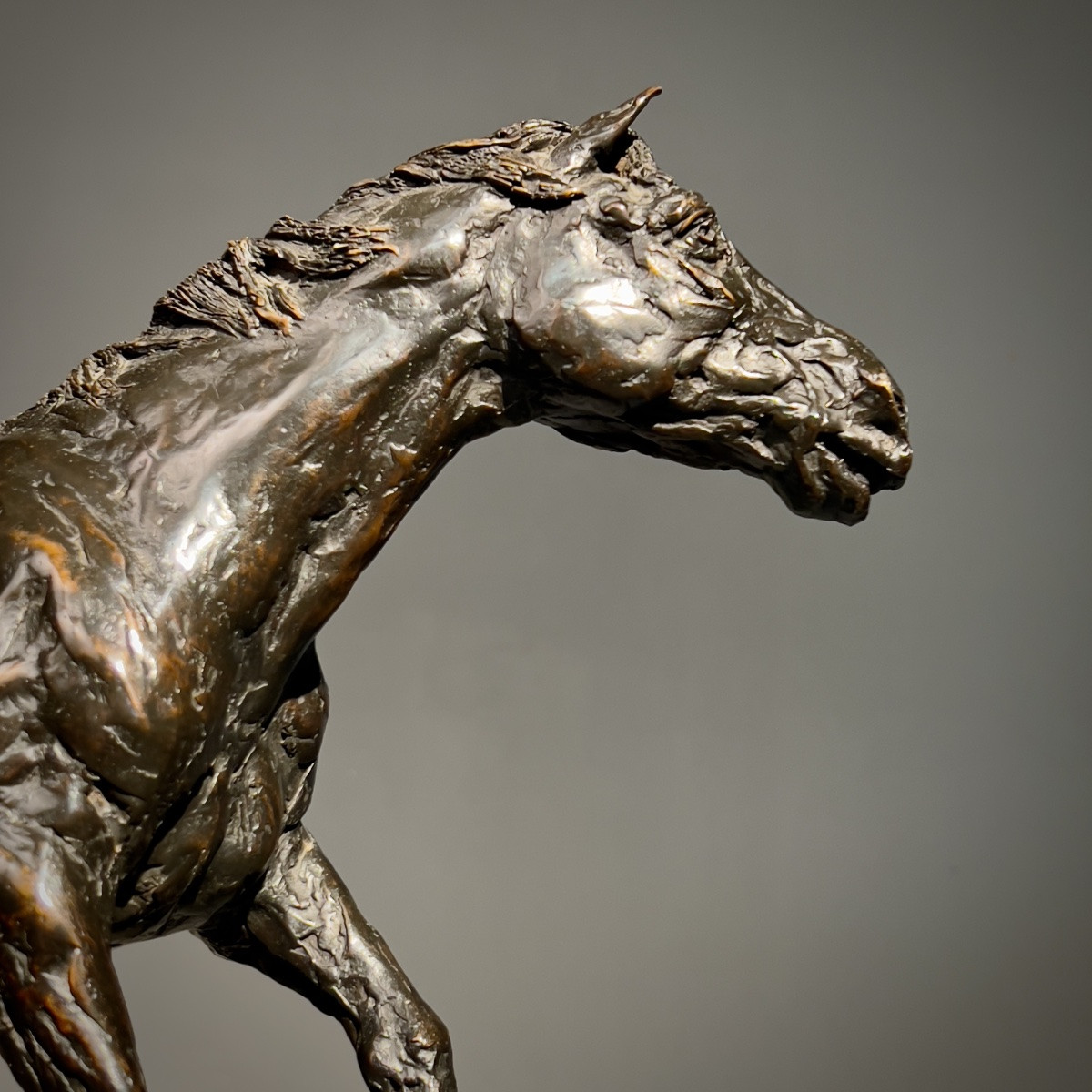 Bronze Horse Signed Joel Blanc -photo-5