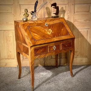 Small Inlaid Donkey Bone Secretary