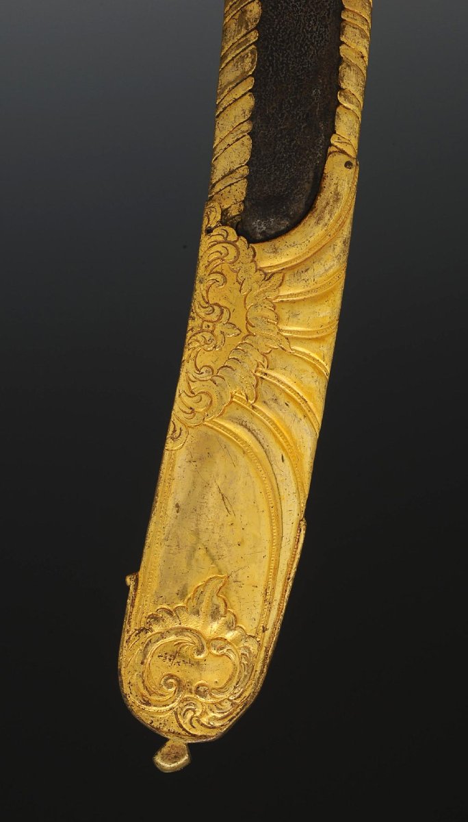 Austro-hungarian Hussar Officer's Sabre, Reign Of Francis Ii, Circa 1792. 32215-photo-2