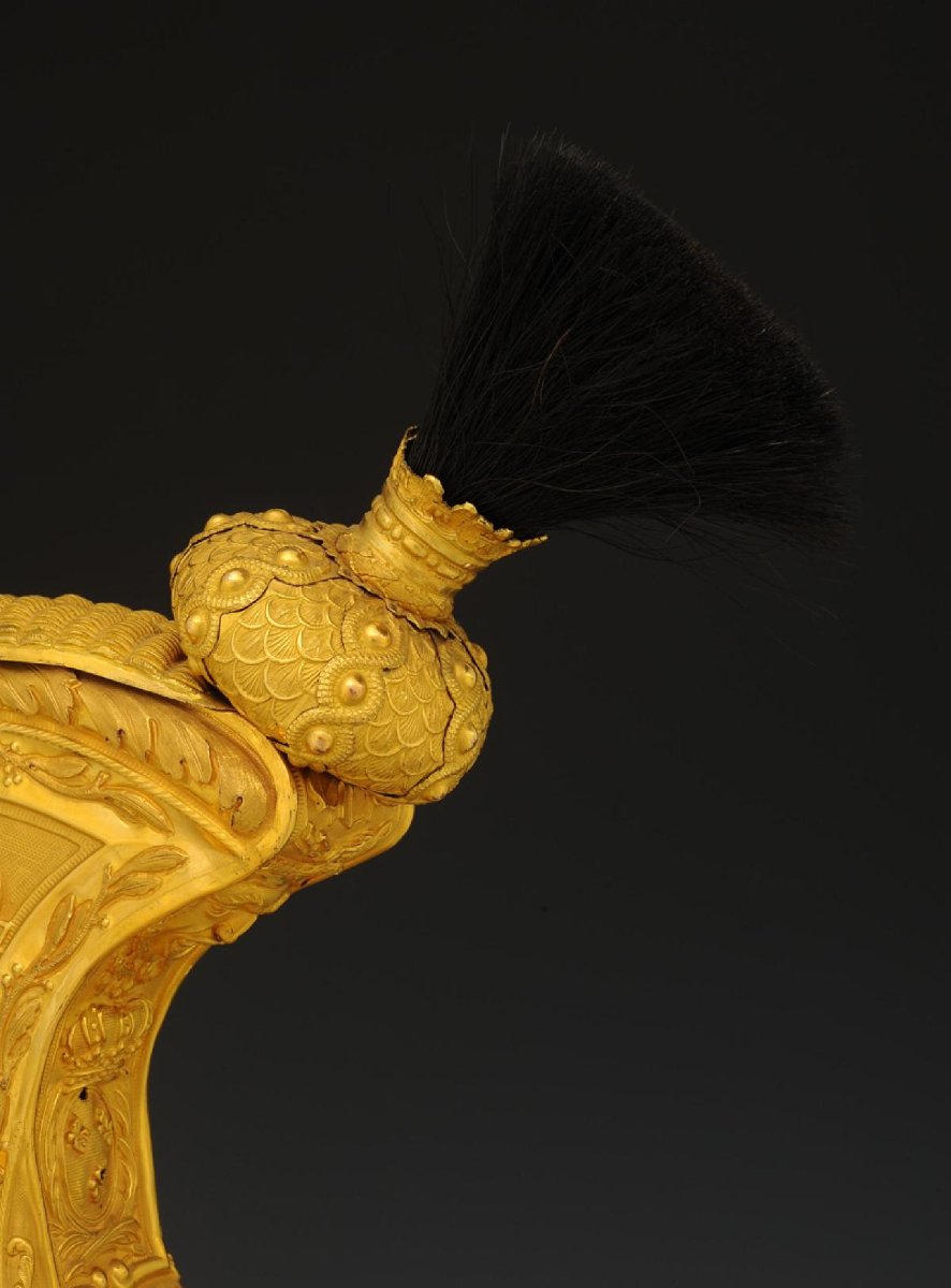 CASQUE DU COLONEL DAVID NIEPCE DU 8ème RÉGIMENT DES DRAGONS PORTÉ PENDANT LES CENT-JOURS-photo-5