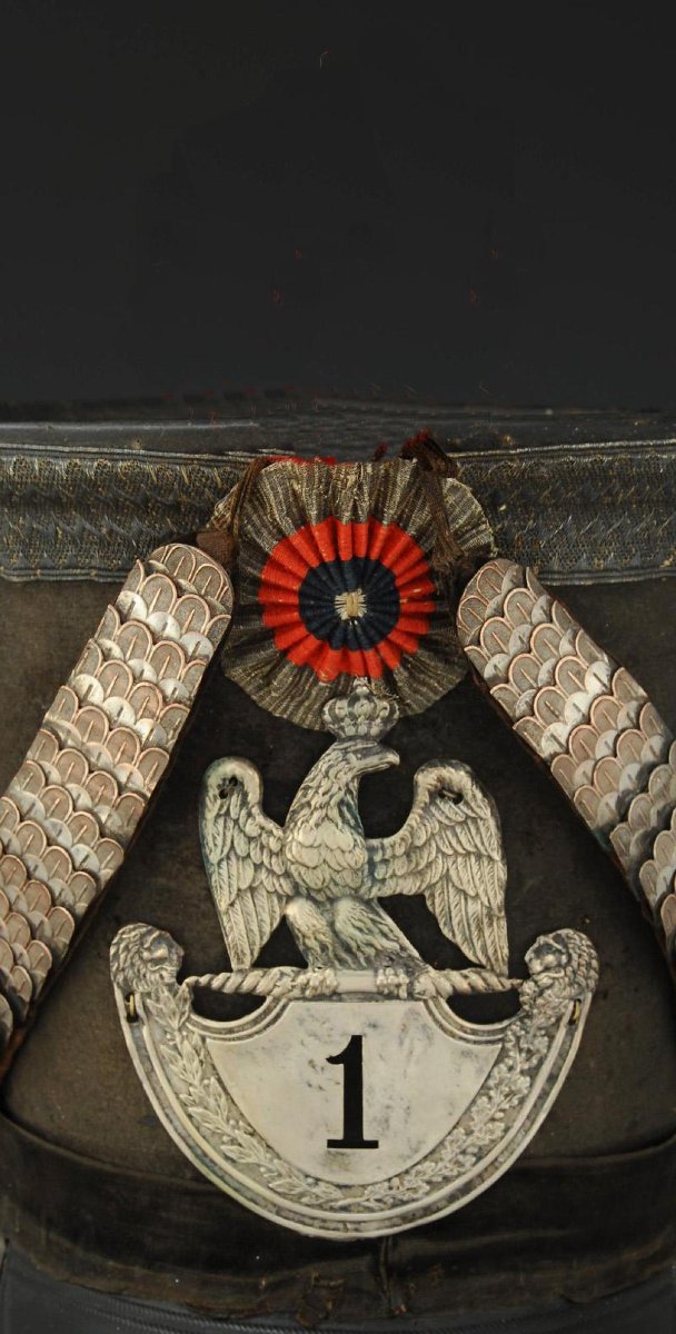 SHAKO D'OFFICIER DU 1er RÉGIMENT DE HUSSARDS, modèle 1812, Premier Empire.-photo-2