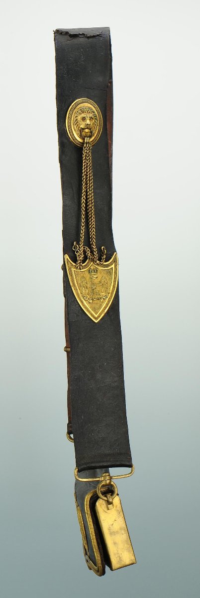Cavalry Officer's Coat: Hussars, Mounted Chasseurs, General Staff, First Empire. -photo-3