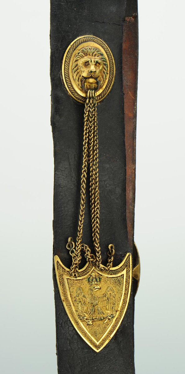 Cavalry Officer's Coat: Hussars, Mounted Chasseurs, General Staff, First Empire. -photo-4