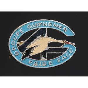 INSIGNE GROUPEMENT 12 groupe 4 Guynemer BELLEDONNE CHANTIER DE JEUNESSE Seconde Guerre Mondiale