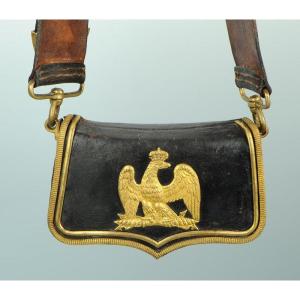 Cavalry Officer's Coat: Hussars, Mounted Chasseurs, General Staff, First Empire.