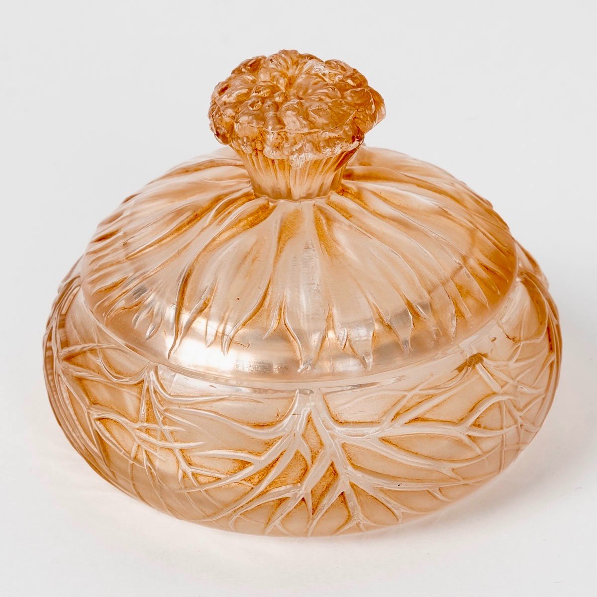191u René Lalique - Box Cheveux De Venus Frosted Glass With Sepia Patina-photo-2