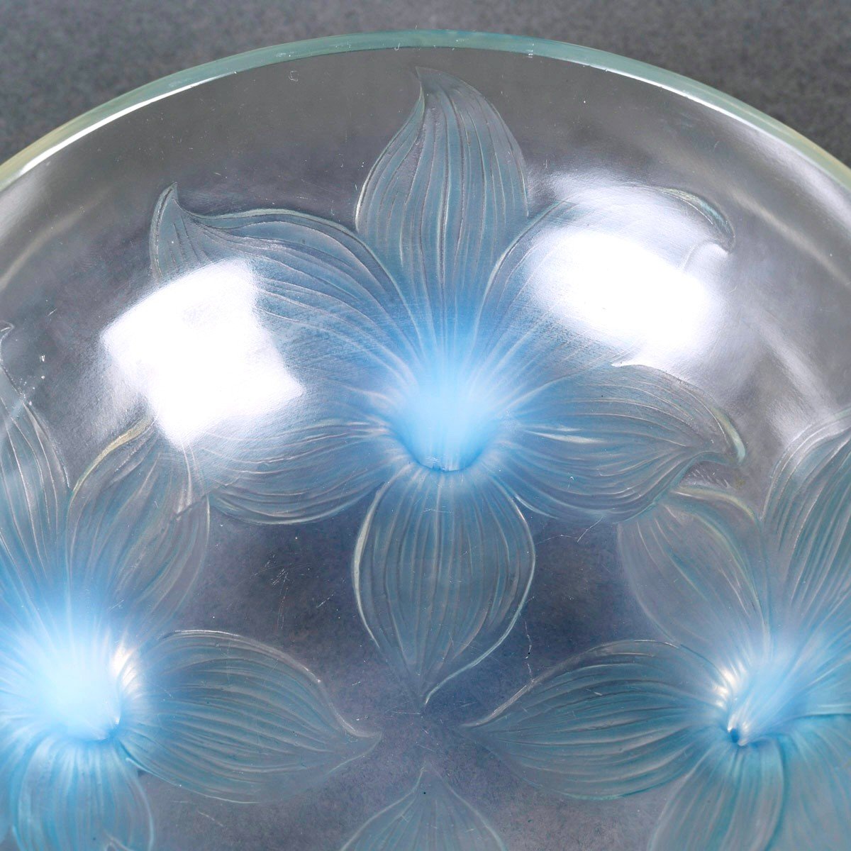 1924 René Lalique - Coupe Lys Verre Opalescent Patiné Bleu-photo-2