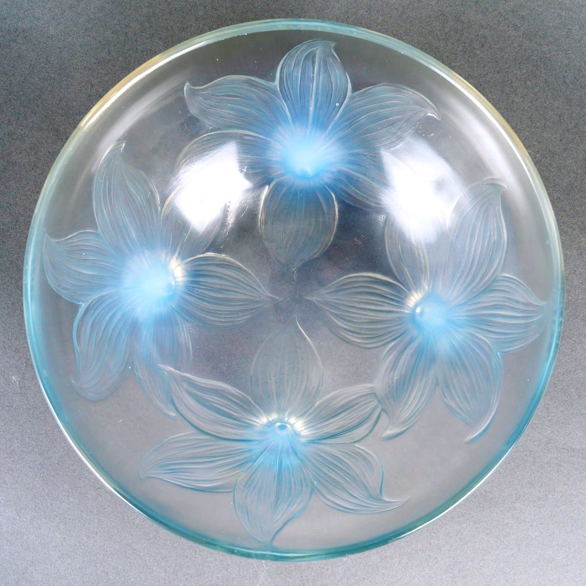 1924 René Lalique - Coupe Lys Verre Opalescent Patiné Bleu-photo-3
