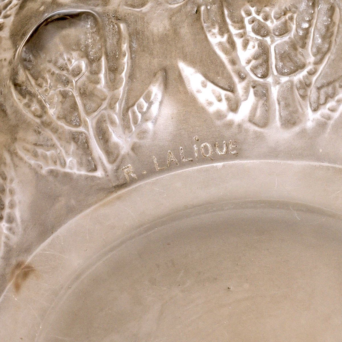 1912 René Lalique - Vase Fougeres Ferns Glass With Grey Patina-photo-4
