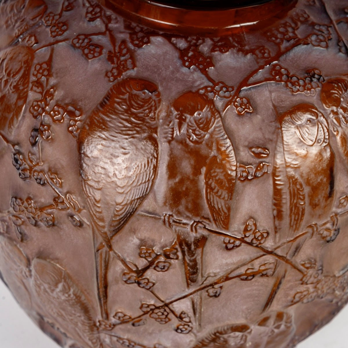 1919 René Lalique - Vase Perruches Verre Ambre Patiné Blanc-photo-3