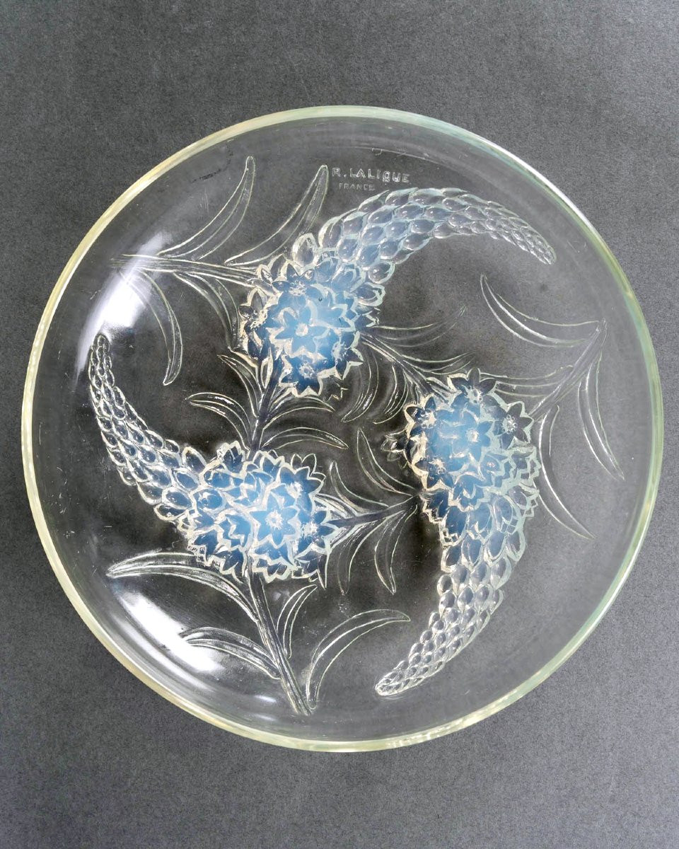 1928 René Lalique - Bowl Veronique Opalescent Glass-photo-2