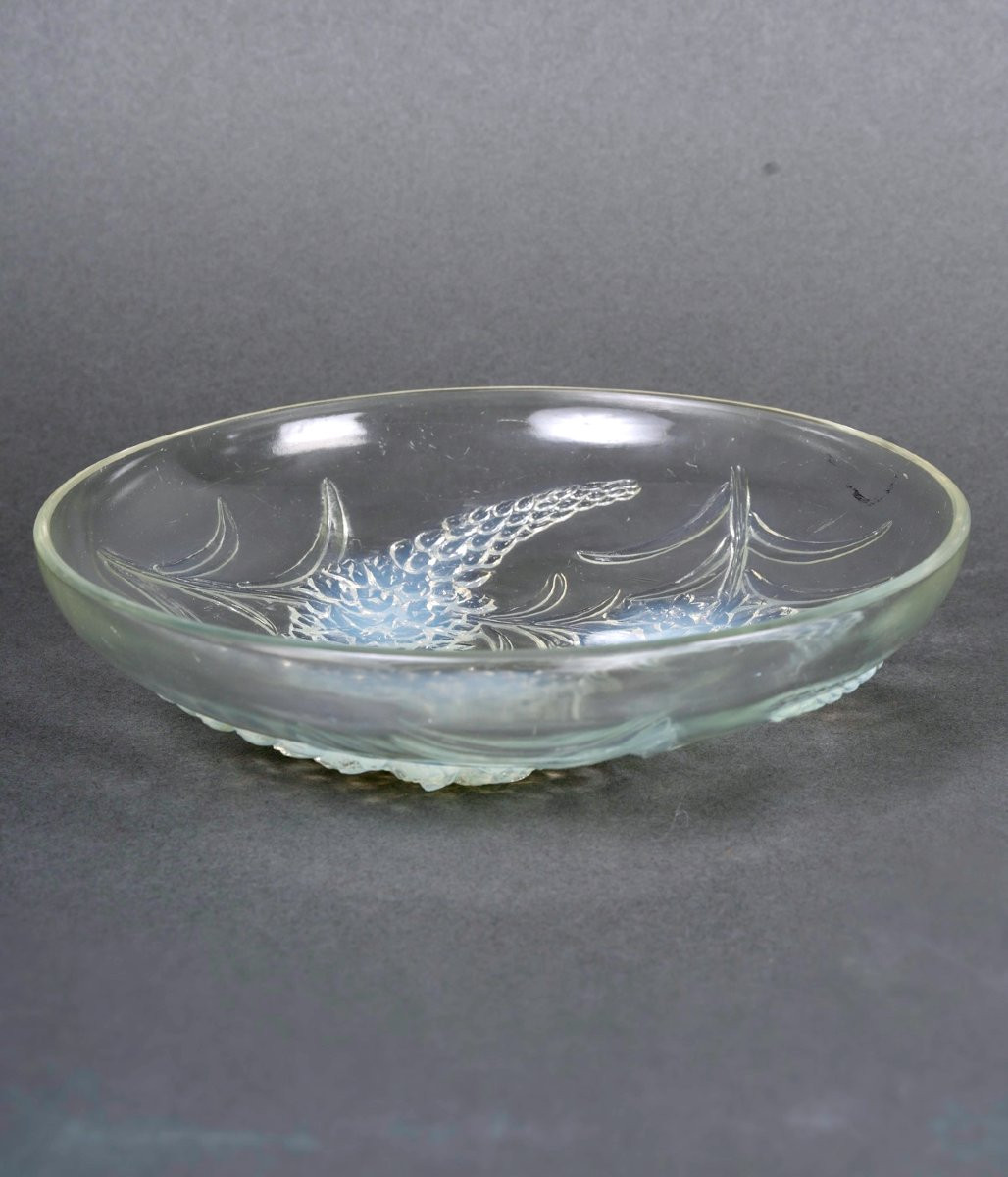 1928 René Lalique - Bowl Veronique Opalescent Glass-photo-3