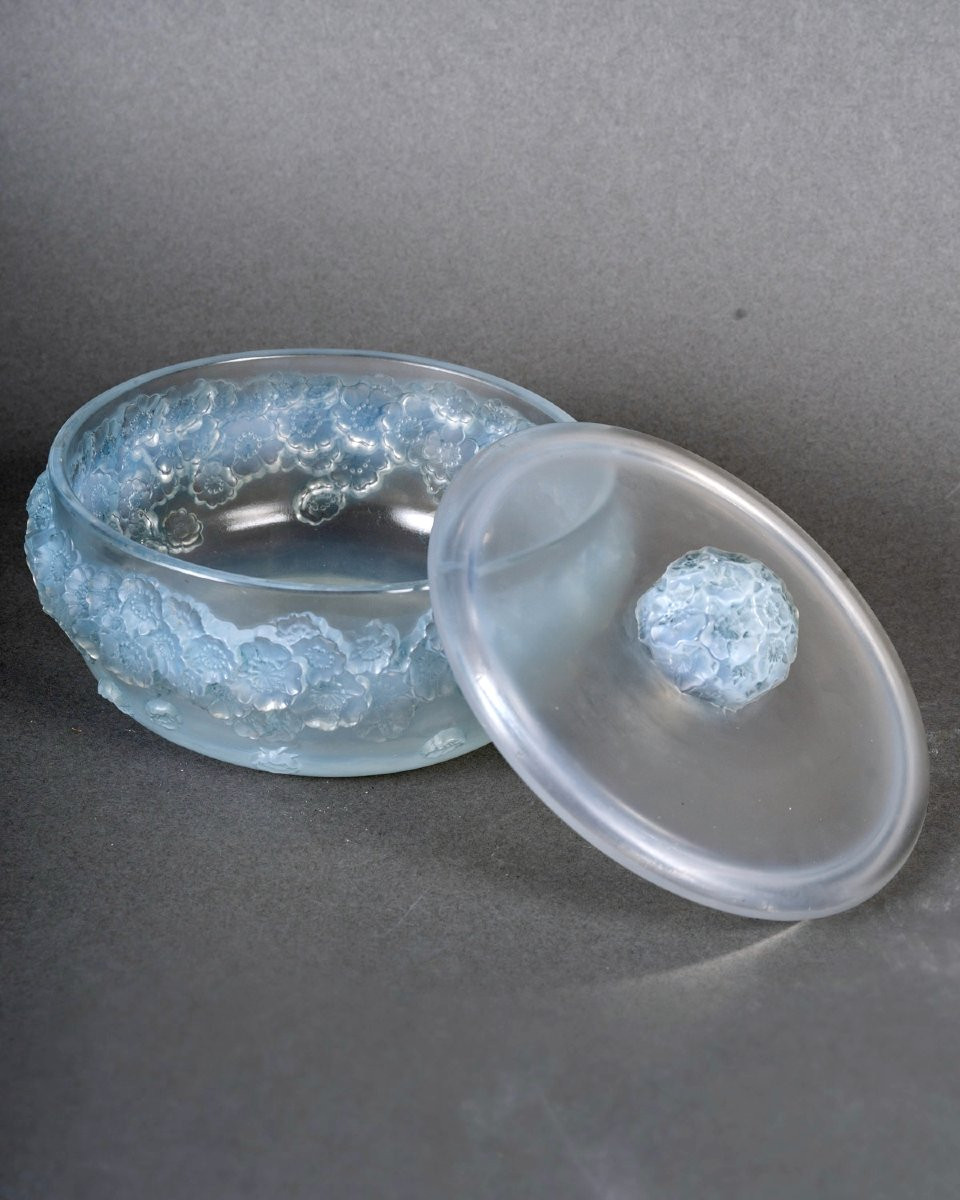 1927 René Lalique - Boîte Primevères Verre Opalescent Patiné Bleu-photo-3