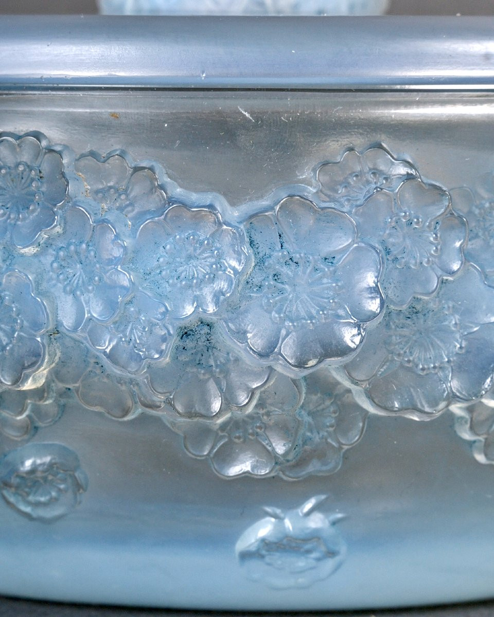 1927 René Lalique - Boîte Primevères Verre Opalescent Patiné Bleu-photo-4