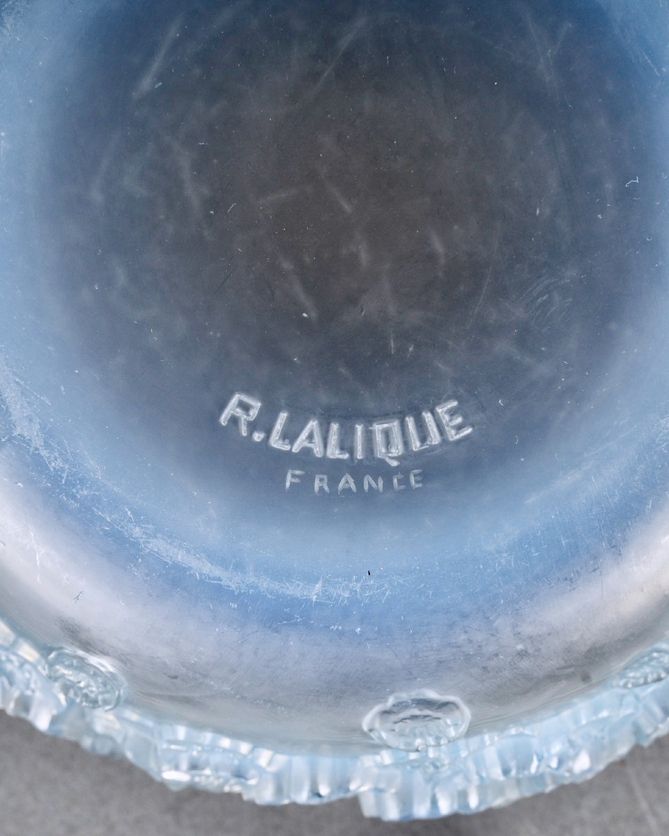1927 René Lalique - Boîte Primevères Verre Opalescent Patiné Bleu-photo-1