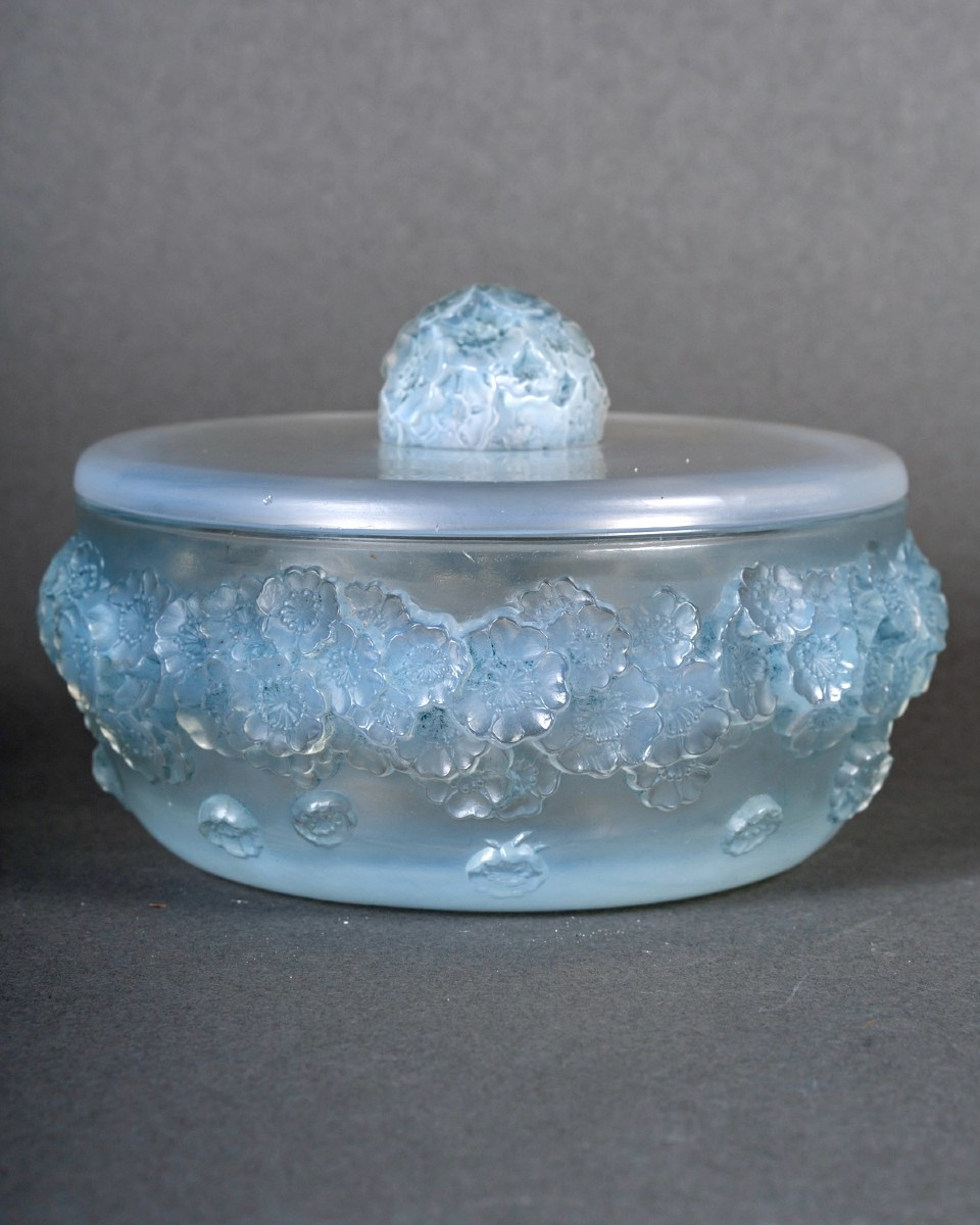 1927 René Lalique - Boîte Primevères Verre Opalescent Patiné Bleu
