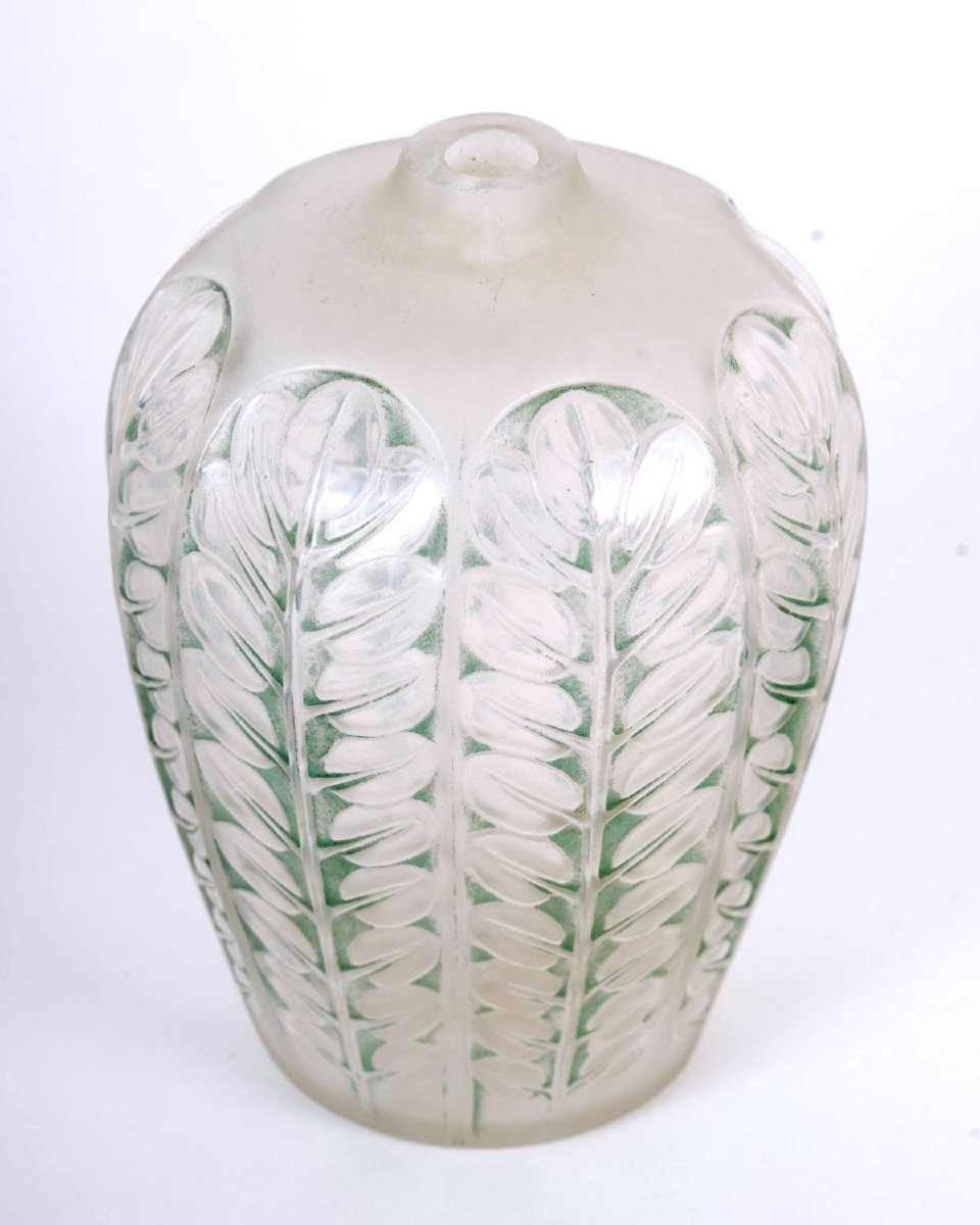 1924 René Lalique - Vase Tournai Verre Blanc Patiné Vert-photo-3