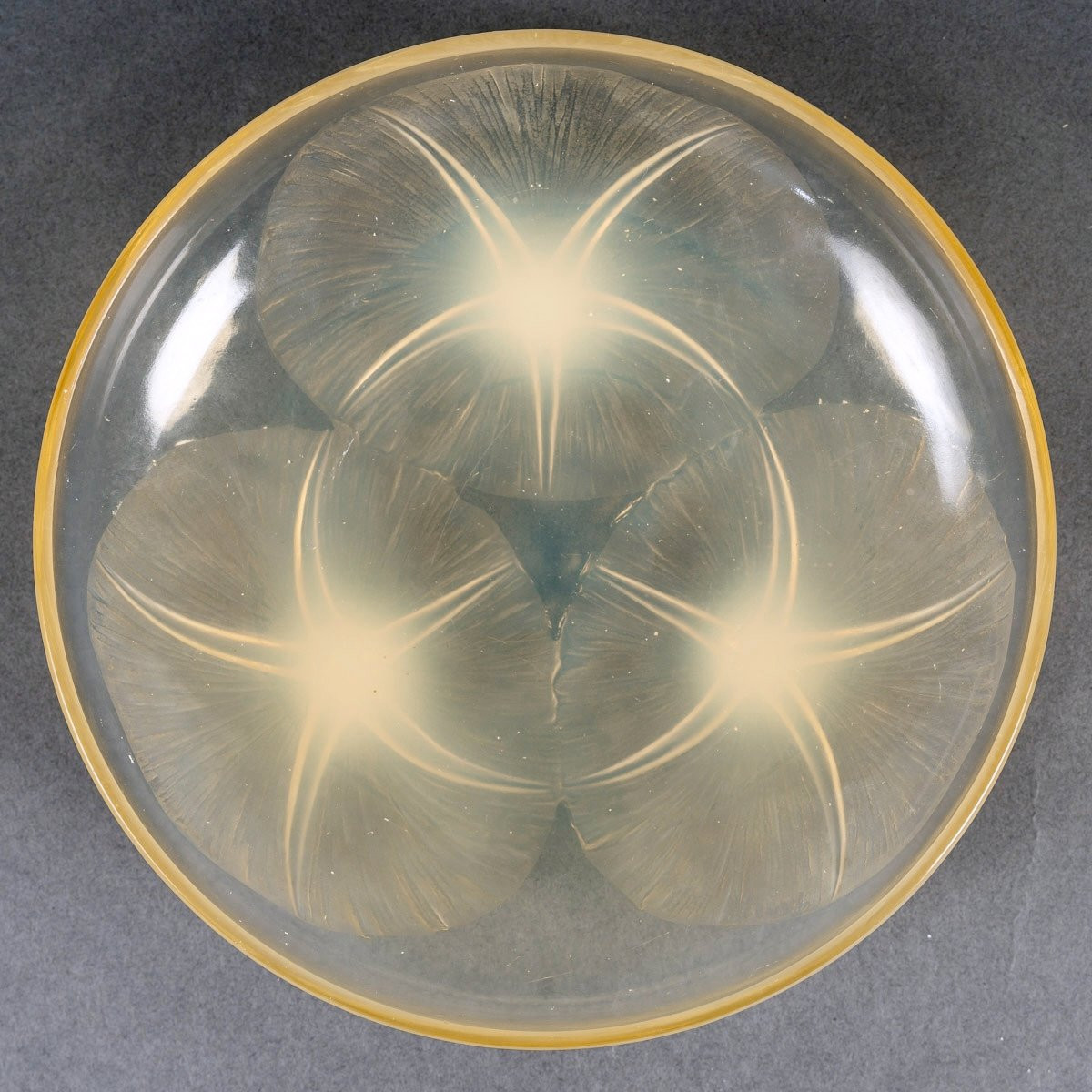1921 René Lalique - Bowl Volubilis Yellow Opalescent Glass-photo-3
