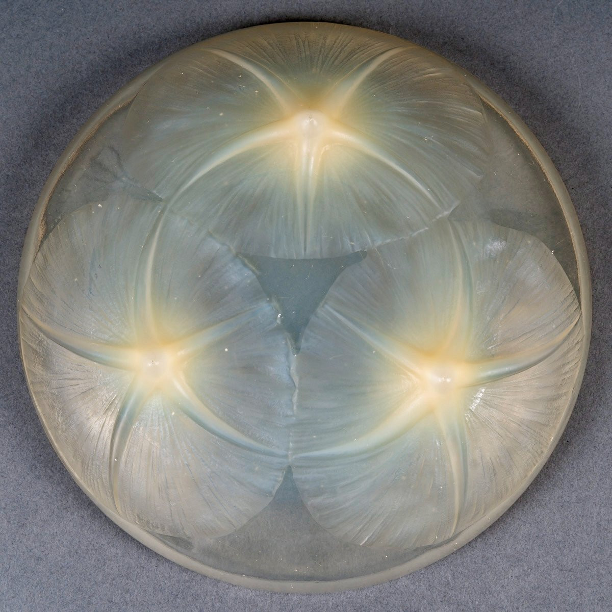 1921 René Lalique - Bowl Volubilis Yellow Opalescent Glass-photo-4