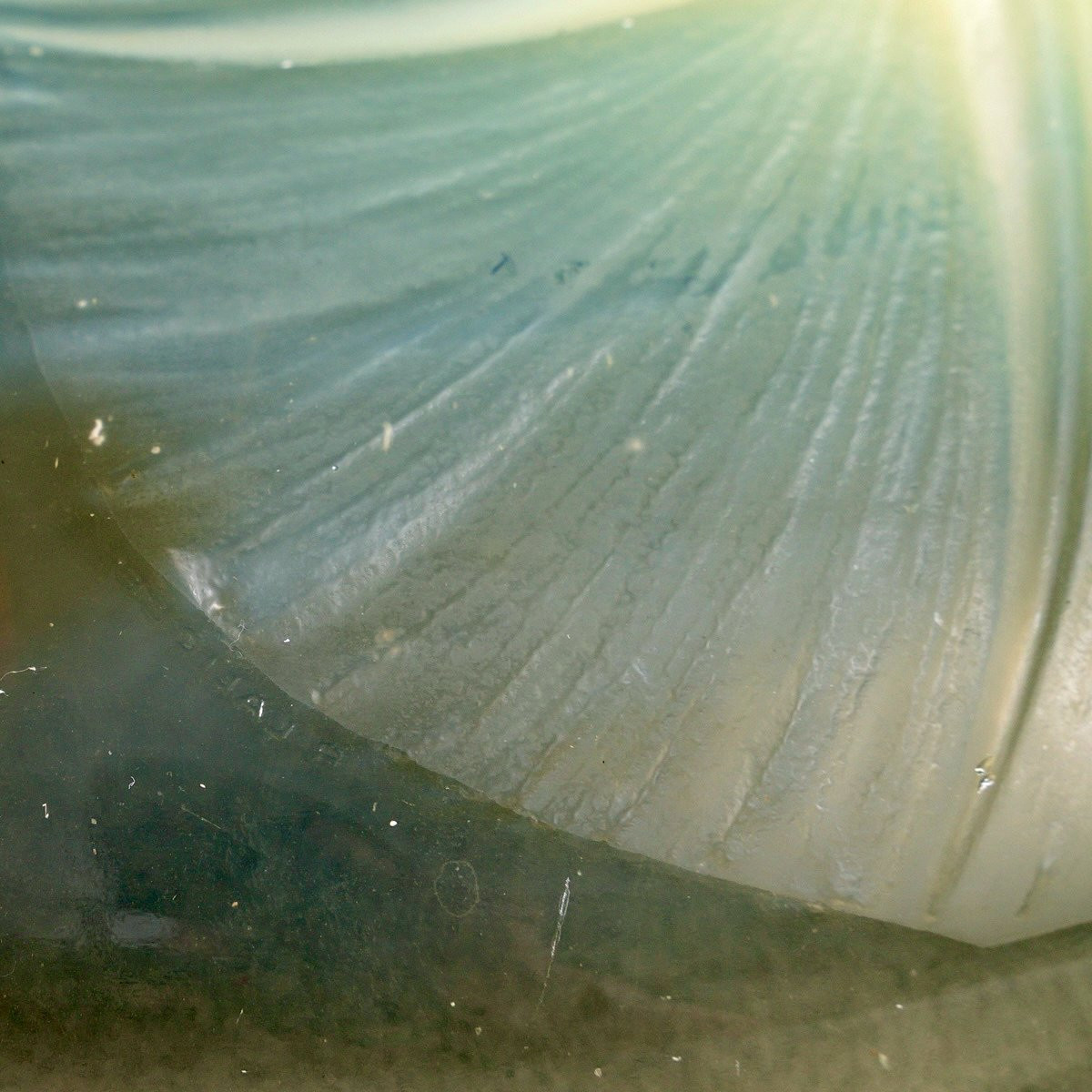 1921 René Lalique - Bowl Volubilis Yellow Opalescent Glass-photo-2