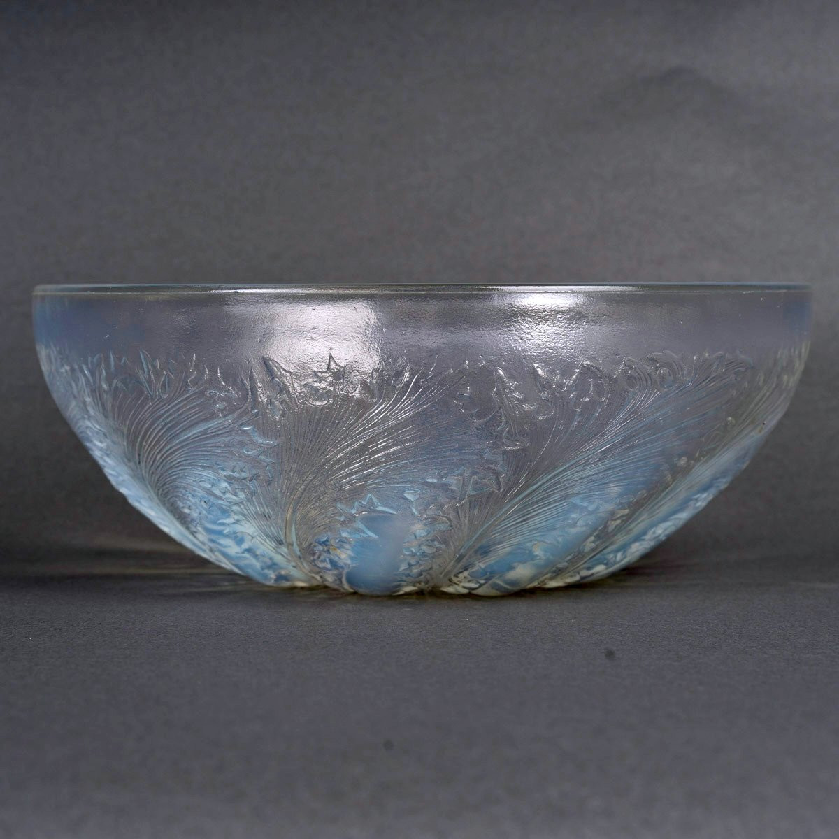 1921 René Lalique-  Coupe Chicorée Verre Opalescent-photo-2