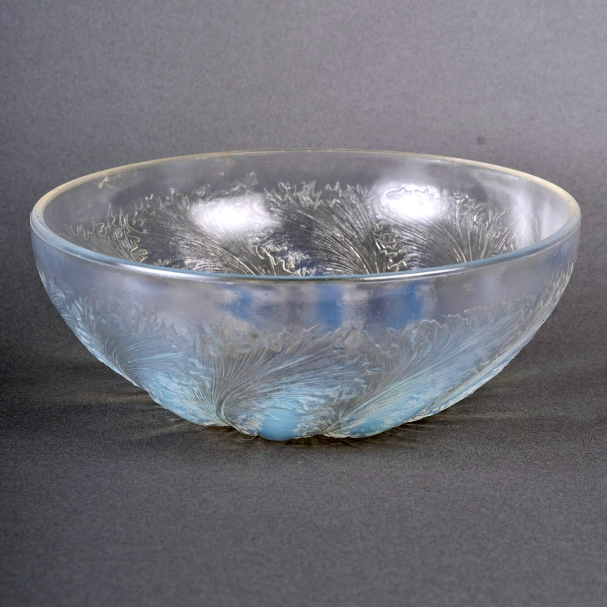 1921 René Lalique-  Coupe Chicorée Verre Opalescent-photo-3