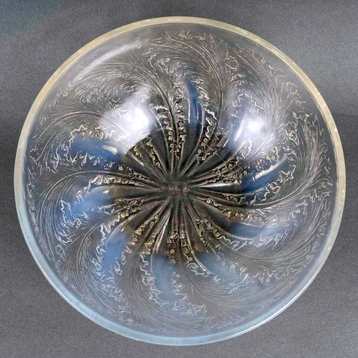 1921 René Lalique-  Coupe Chicorée Verre Opalescent-photo-4