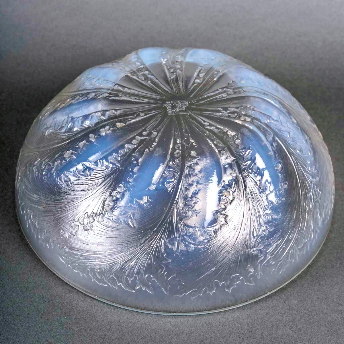 1921 René Lalique-  Coupe Chicorée Verre Opalescent-photo-1