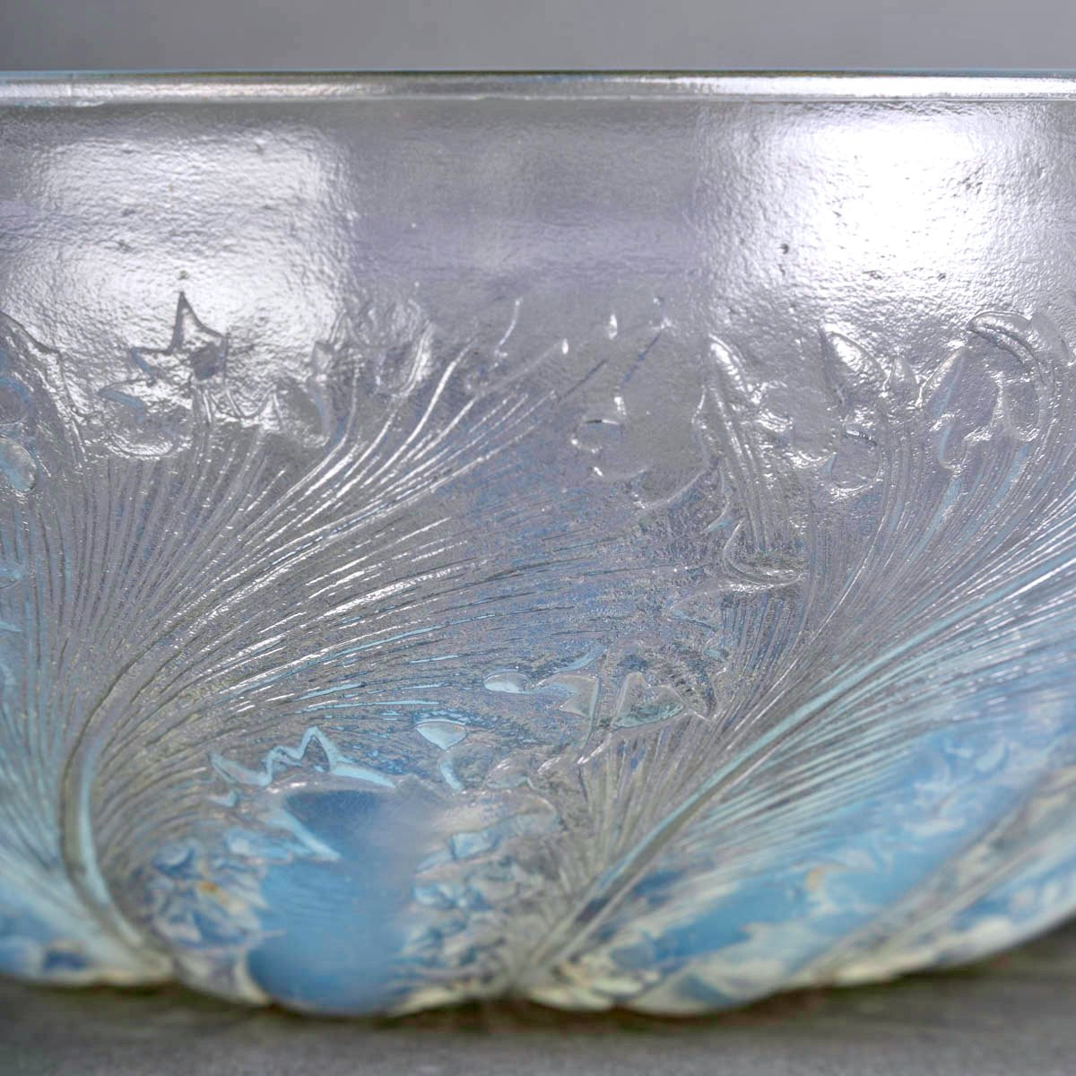 1921 René Lalique-  Coupe Chicorée Verre Opalescent-photo-2