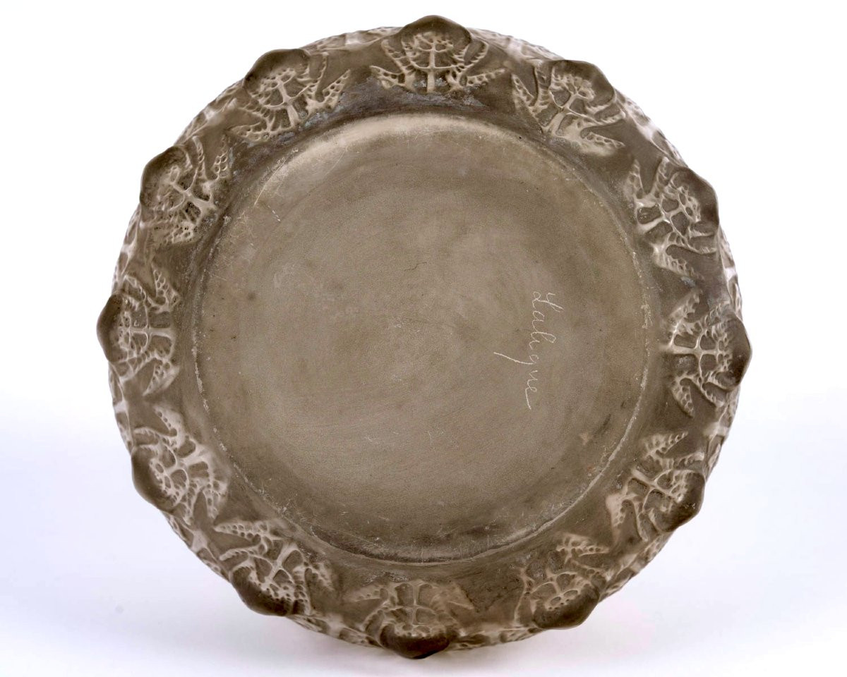 1912 René Lalique - Vase Fougères Verre Blanc Patiné Gris-photo-1