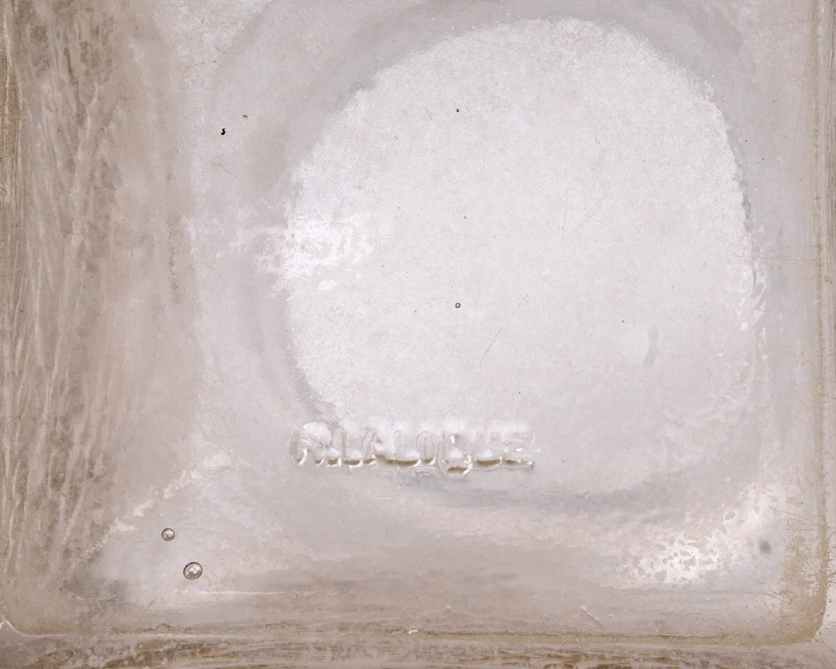 1926 René Lalique - Vase Myrrhis Verre Blanc Patiné Sépia-photo-4