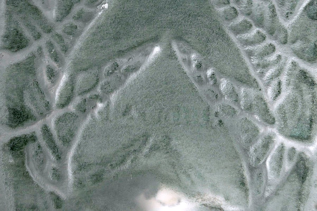 1912 René Lalique - Vase Fougeres Glass With Green Patina-photo-2