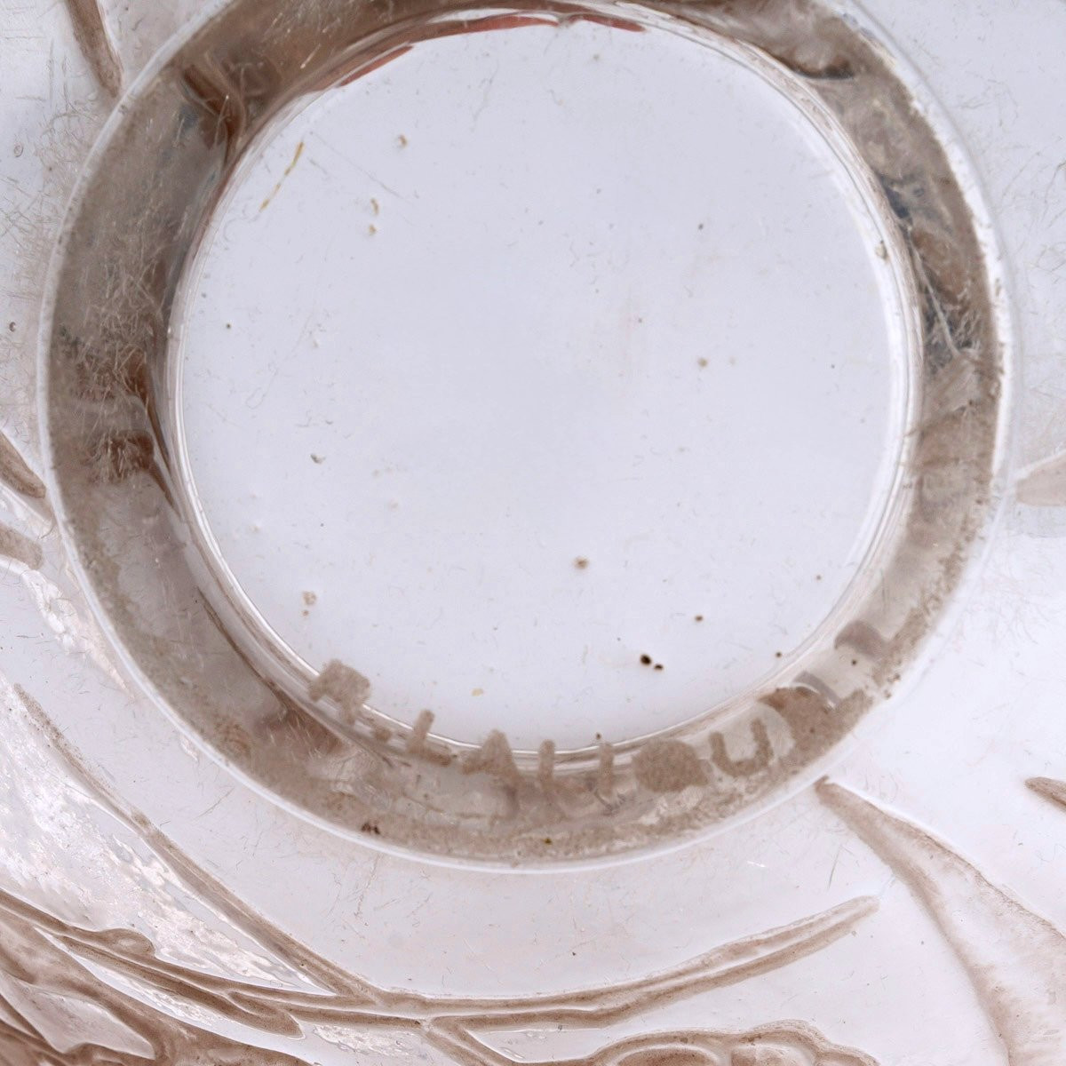 1923 René Lalique - Vase Nefliers Glass With Sepia Patina-photo-2