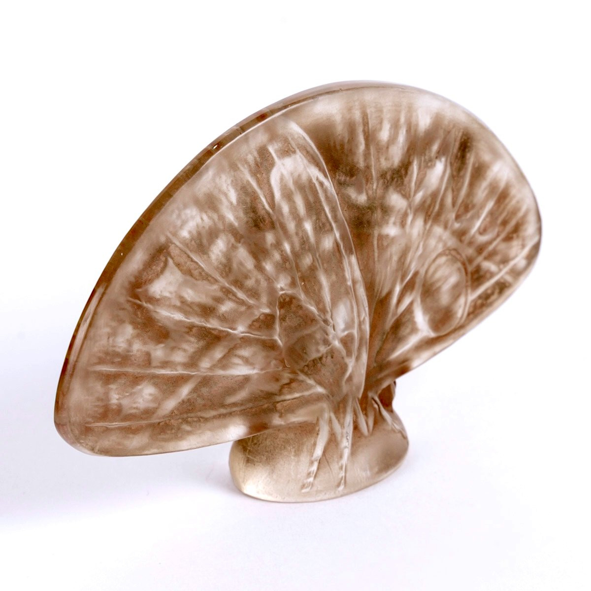 1919 René Lalique - Cachet Papillons Ailes Ouvertes Verre Blanc Patiné Sépia-photo-3