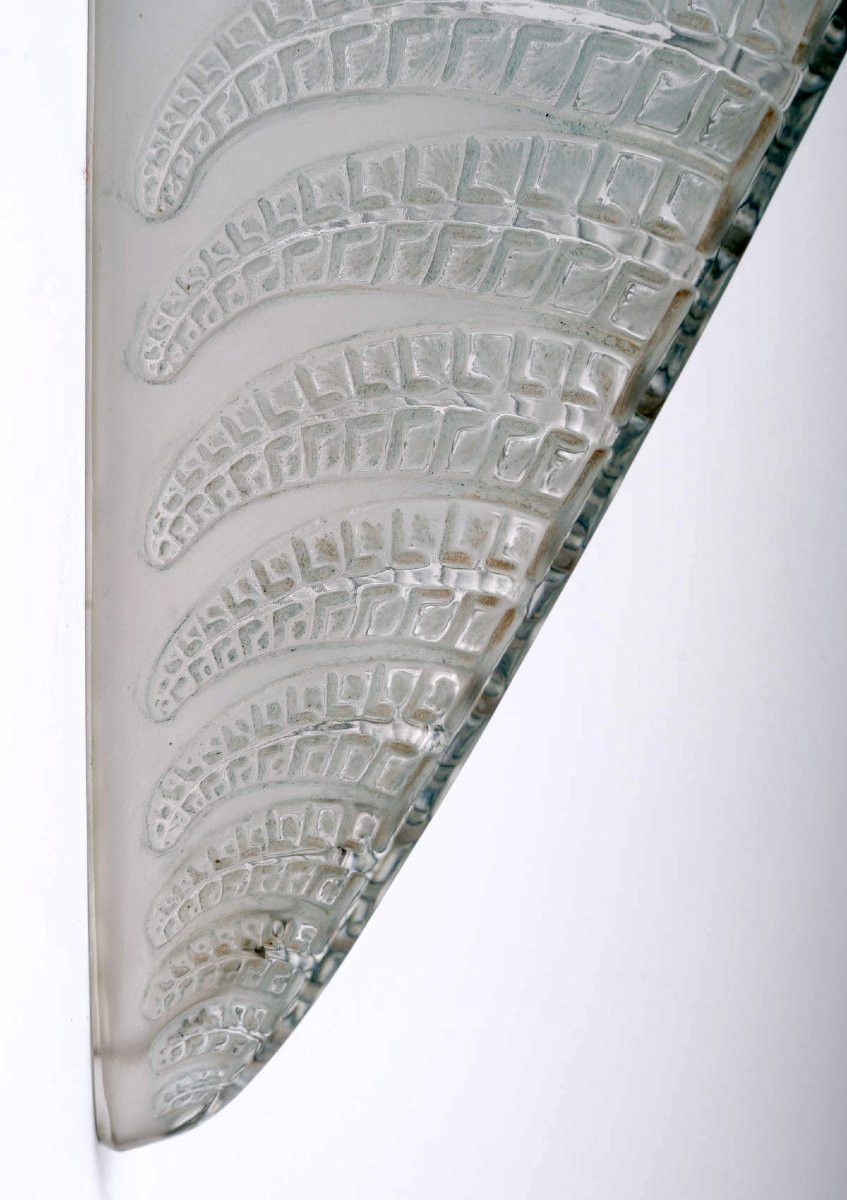 1924 René Lalique - Paire d'Appliques Fougères Verre Blanc Patiné Bleu-photo-1