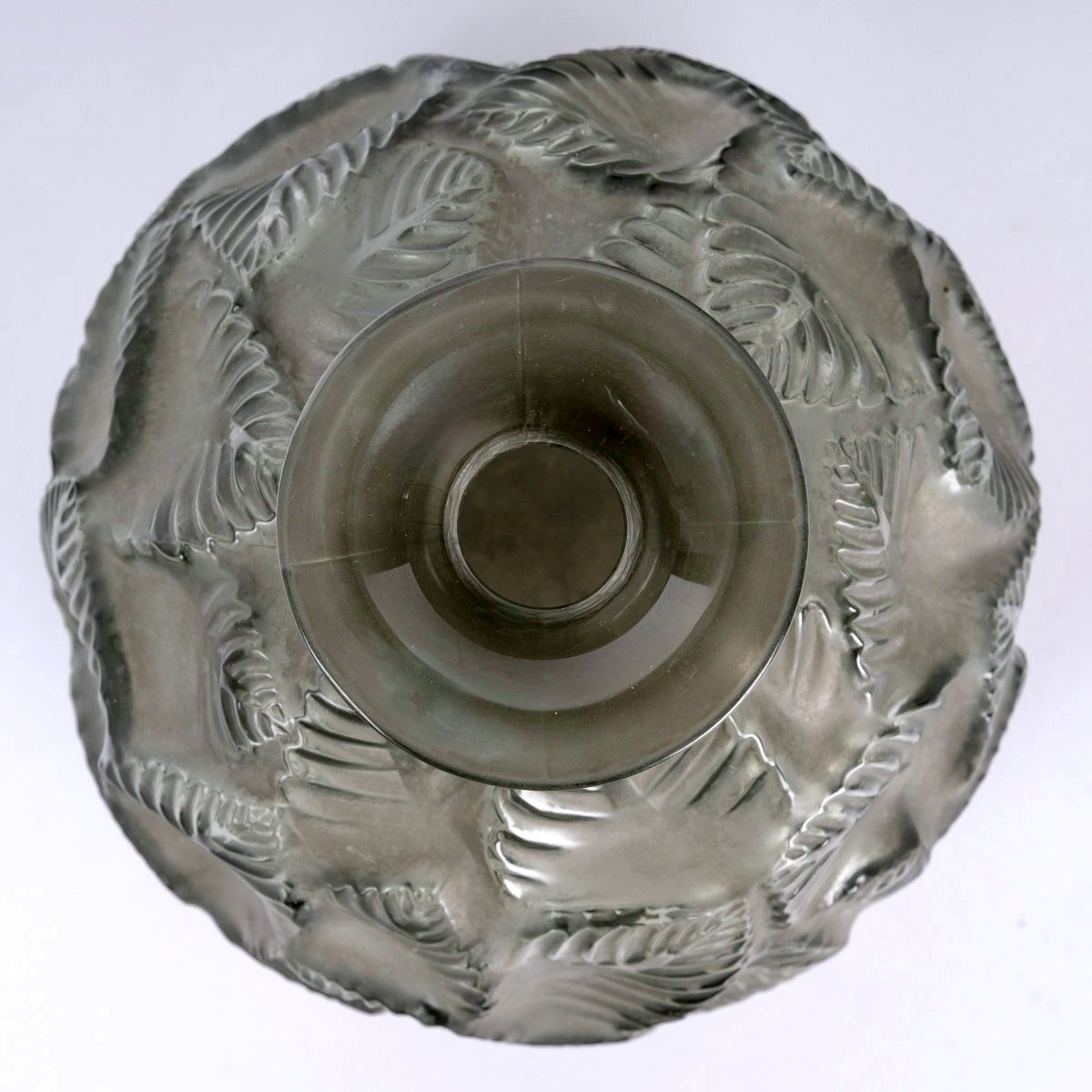 1926 René Lalique - Vase Ormeaux Verre Gris Patiné Blanc-photo-4