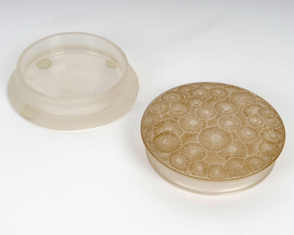 1920 René Lalique - Box Marguerites Daisies Glass With Sepia Patina-photo-3