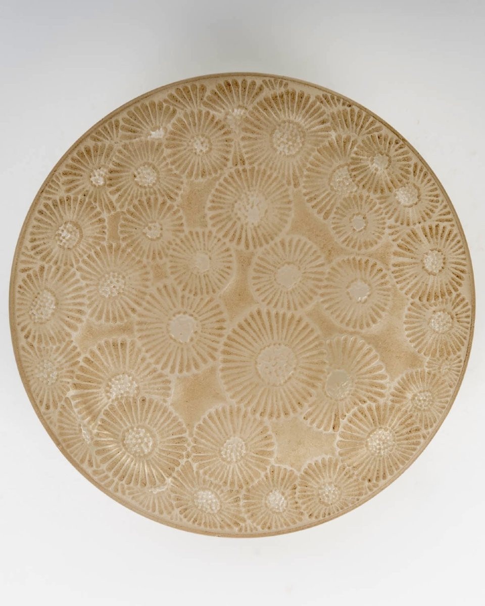 1920 René Lalique - Box Marguerites Daisies Glass With Sepia Patina-photo-4