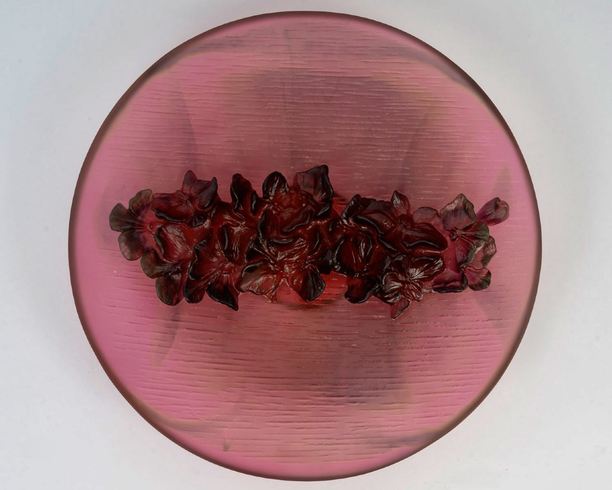 Daum France - Coupe Fleur d'Orchidée Cristal - NEUF EN COFFRET-photo-2