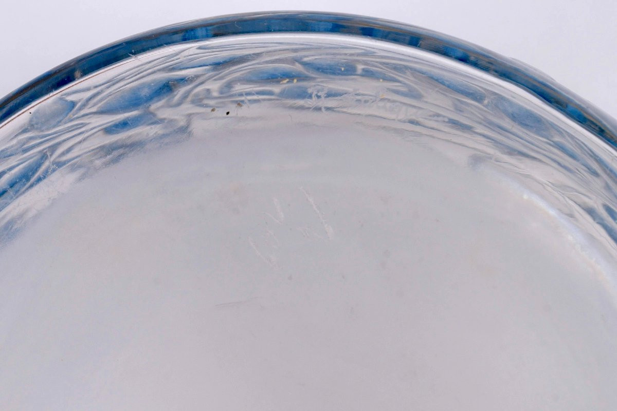 1920 René Lalique - Quatre Flacons Epines Verre Blanc Patiné Bleu-photo-3