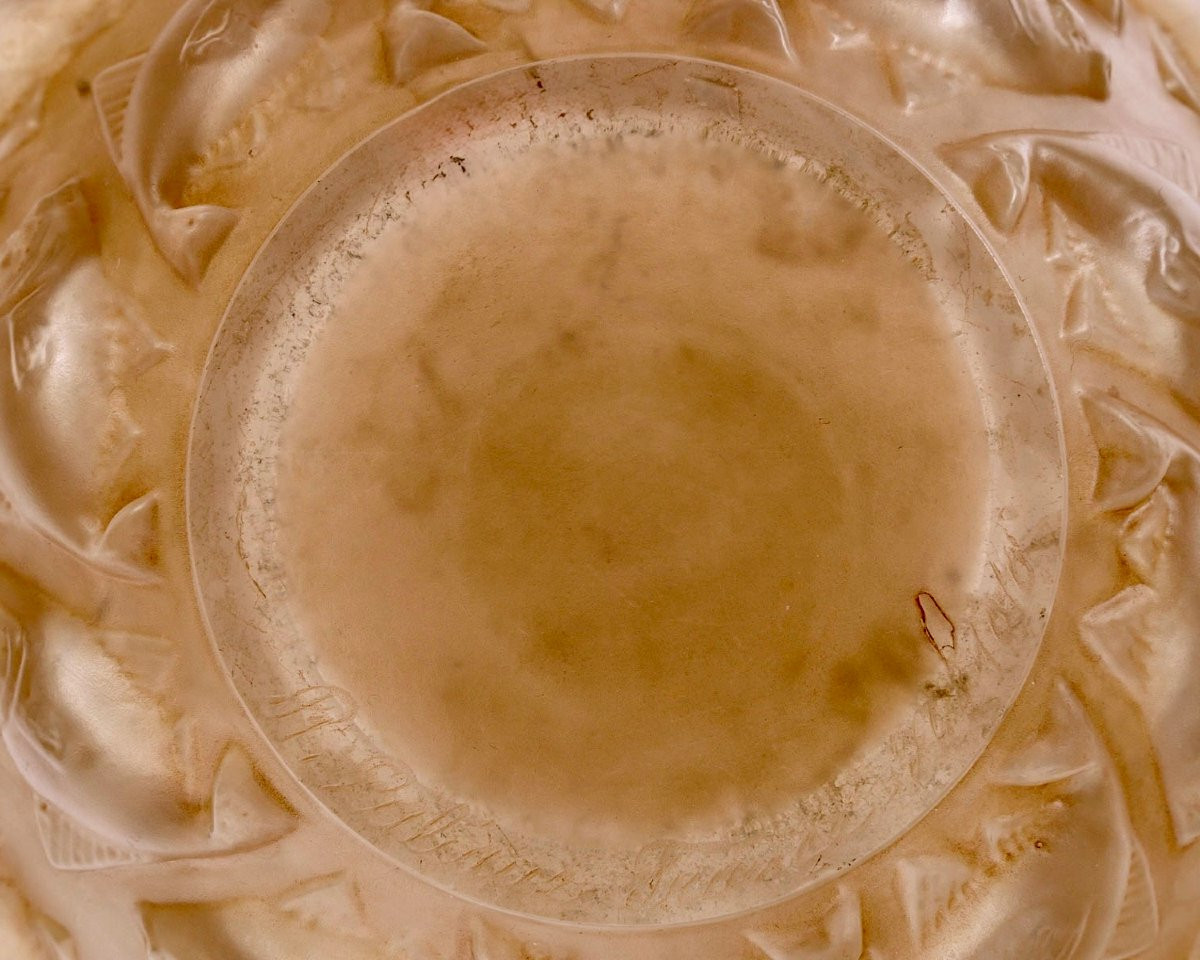 1928 René Lalique - Vase Camaret Verre Blanc Patiné Sépia-photo-4